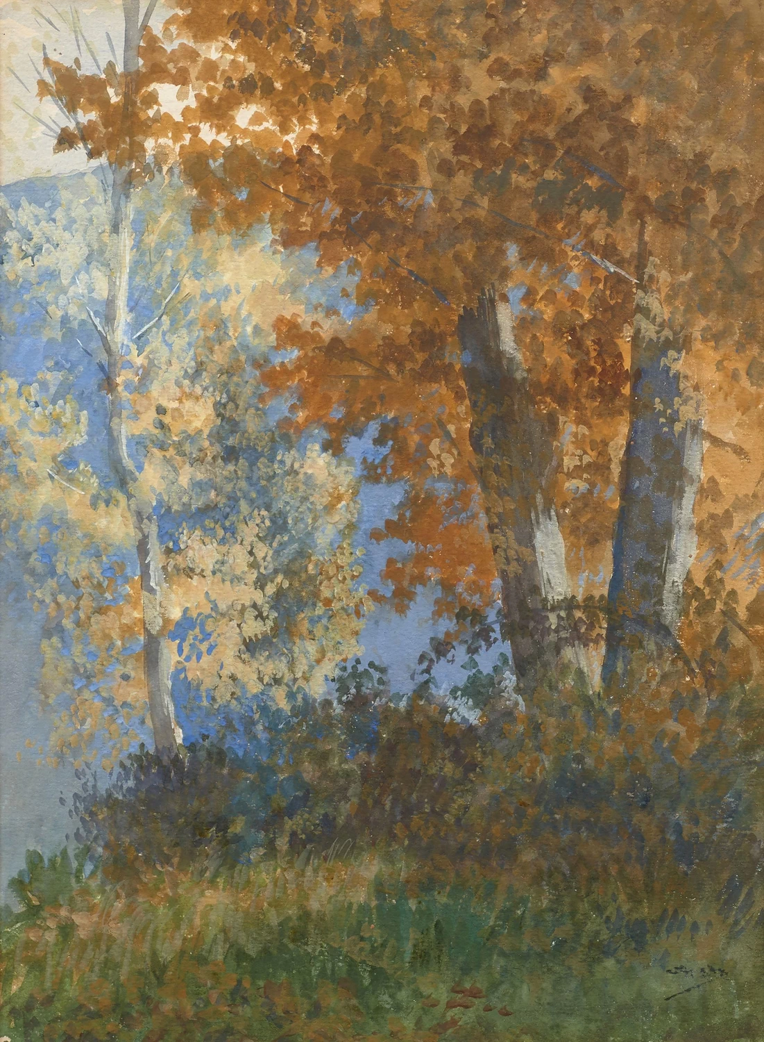 Studio del sottobosco